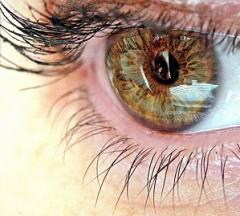 La sécheresse oculaire
